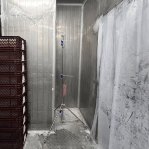 Freezer Room