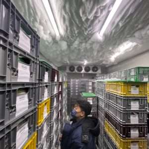 Freezer Container
